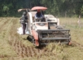 Bulog Lampung Intensifkan Penyerapan Gabah Petani Selama Bulan Puasa