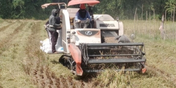 Bulog Lampung Intensifkan Penyerapan Gabah Petani Selama Bulan Puasa