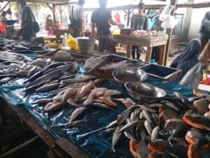 Harga Ikan di Lampung Selatan Setara Ayam