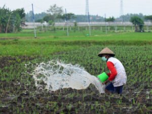 Sektor Pertanian harus Tetap Produktif Hadapi Krisis Air