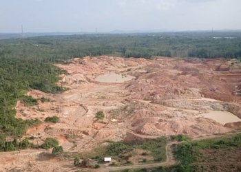 Penertiban Aktivitas Tambang Emas Ilegal Diapresiasi PTPN I Regional 7