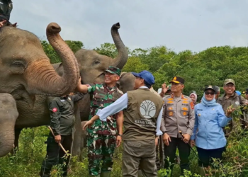Bupati Lampung Timur Ela Siti Nuryamah bersama Menteri Kehutanan Raja Juli Antoni dan pihak terkait saat meninjau gajah jinak di TNWK. ANTARA