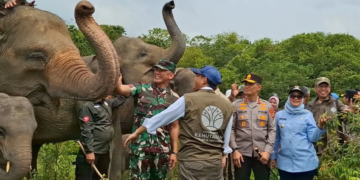 Bupati Lampung Timur Ela Siti Nuryamah bersama Menteri Kehutanan Raja Juli Antoni dan pihak terkait saat meninjau gajah jinak di TNWK. ANTARA