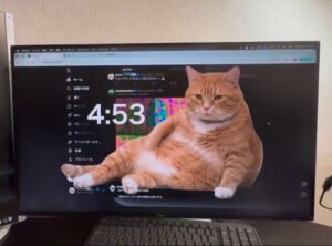 Cat Gatekeeper, Ekstensi Unik yang Hentikan Scroll dengan Kucing Gemoy