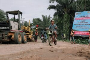 Pembangunan Jalan Sasar Sentra Sawit Way Kanan