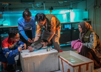 Pertamina Patra Niaga Perkuat Pondasi Ekonomi Warga Lewat Program Belida Musi Lestari