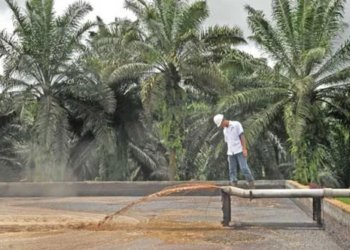 Limbah cair sawit (POME). Dok/Sawitkita.id