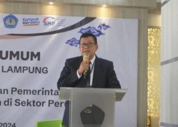 Pengenaan Pajak Toko Online, Koreksi Distorsi atau Menambah Beban?