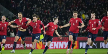 Pemain Timnas Republik Ceko