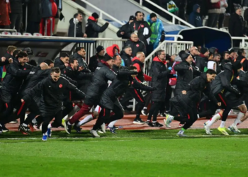 Pemain dan staf Timnas Turki