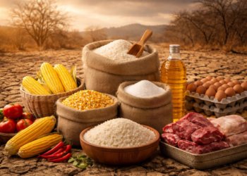 Persediaan pangan din tengah krisis. Foto/AI