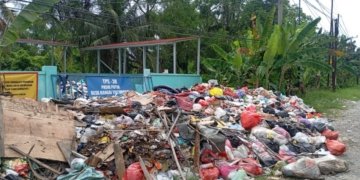 TPS Pasir Putih Meluap, Sampah Hampir Mendekati Badan Jalan Lintas Sumatera