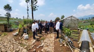 PTPN I Gandeng Investor China, Siapkan Lahan Bawang Skala Besar di Jawa Barat