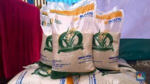 Bulog Lampung Selatan Siapkan 700 Ton Beras Bantuan Pangan, Prioritaskan Warga Kurang Mampu