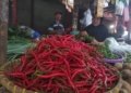 harga cabai lampung