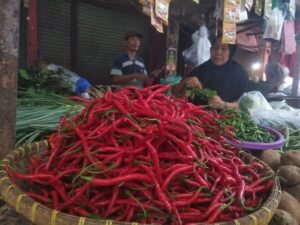 Usai Lebaran, Harga Cabai dan Bawang Stabil