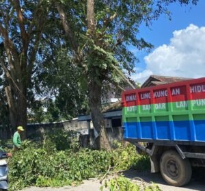 Antisipasi Pohon Tumbang, DLH Pangkas Pohon di Jalan Pulau Damar