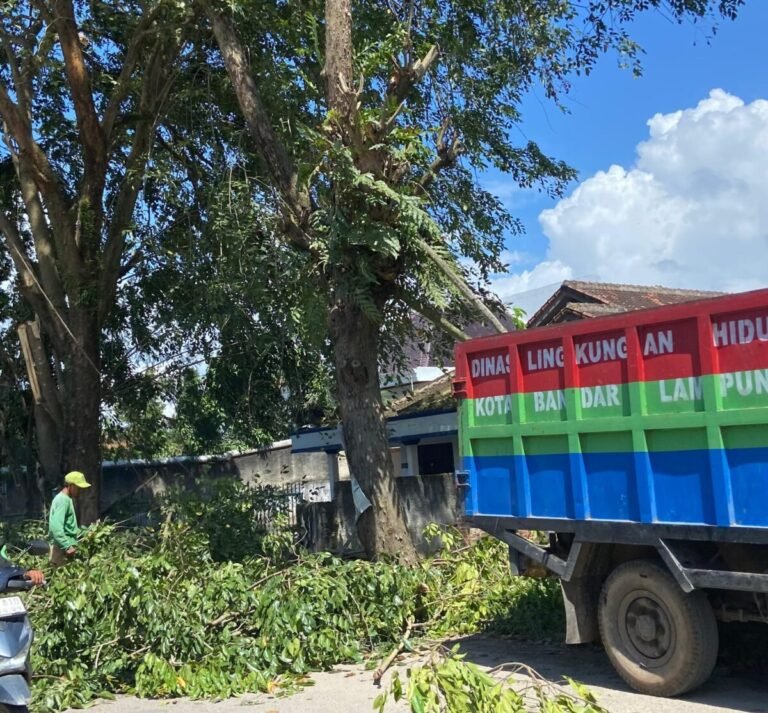 Antisipasi Pohon Tumbang, DLH Pangkas Pohon di Jalan Pulau Damar