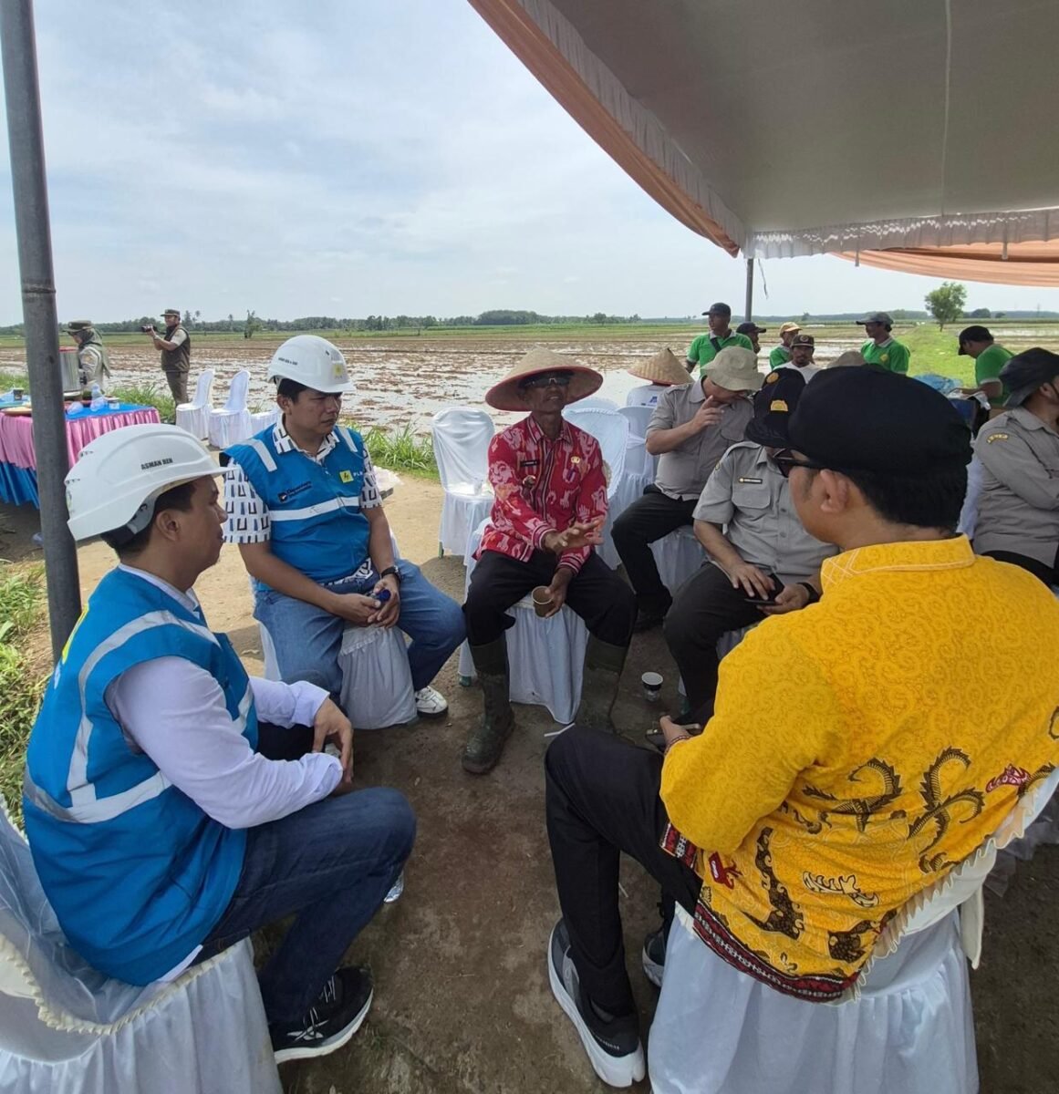 Akselerasi Ketahanan Pangan Daerah, PLN Hadirkan Listrik Andal untuk Pertanian Modern