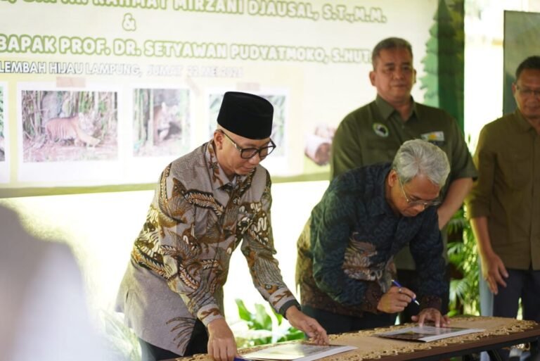 Diberi Nama Kemenhut, Ini Arti Muli Sikop Si Anak Harimau di Lampung