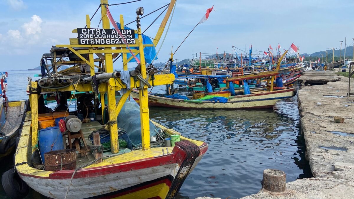 Cuaca Ekstrem, Hasil Tangkapan Ikan dari Nelayan Menurun Drastis