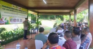Istri Gubernur Lampung Beri Nama Puspa untuk Anak Harimau, ini Artinya