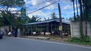 Jelang Iduladha, Lapak Penjual Sapi dan Kambing Menjamur