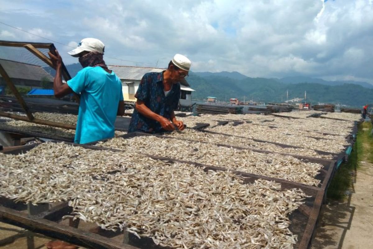 Dongkrak Produktivitas Pesisir, Lampung Kembali Dapat Alokasi Empat Kampung Nelayan Baru