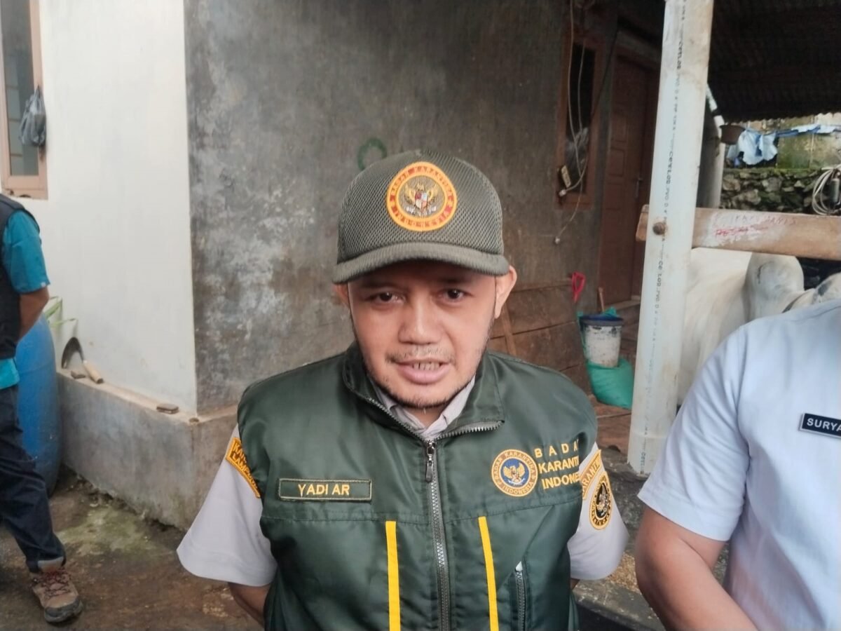 Lampung Perketat Jalur Karantina Hewan Kurban